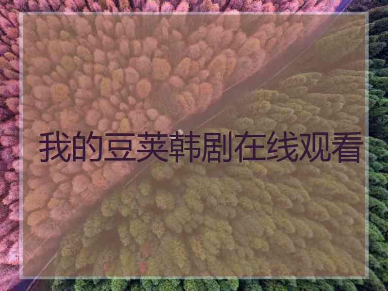 我的豆荚韩剧在线观看