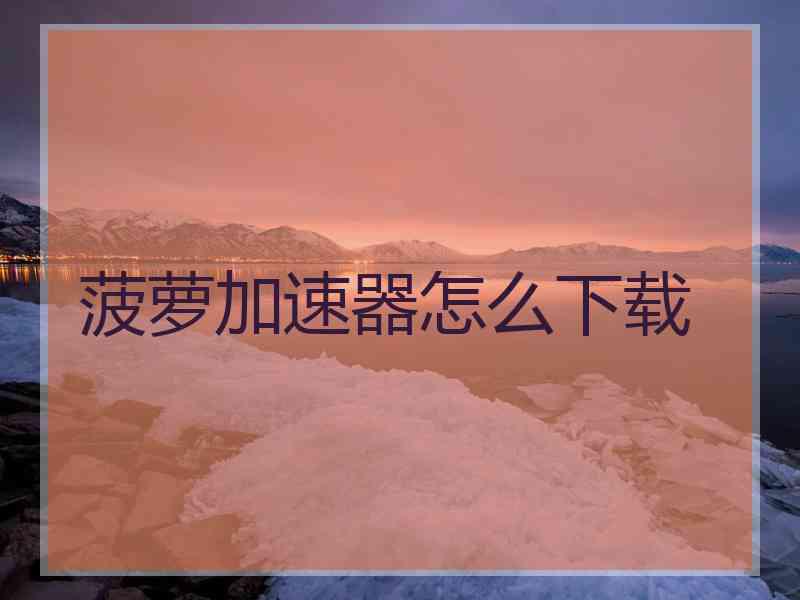 菠萝加速器怎么下载