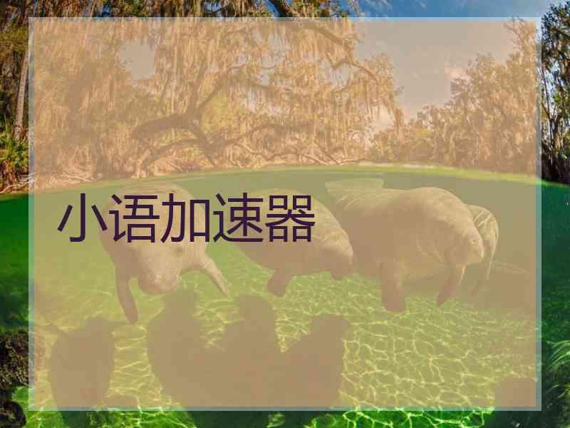 小语加速器
