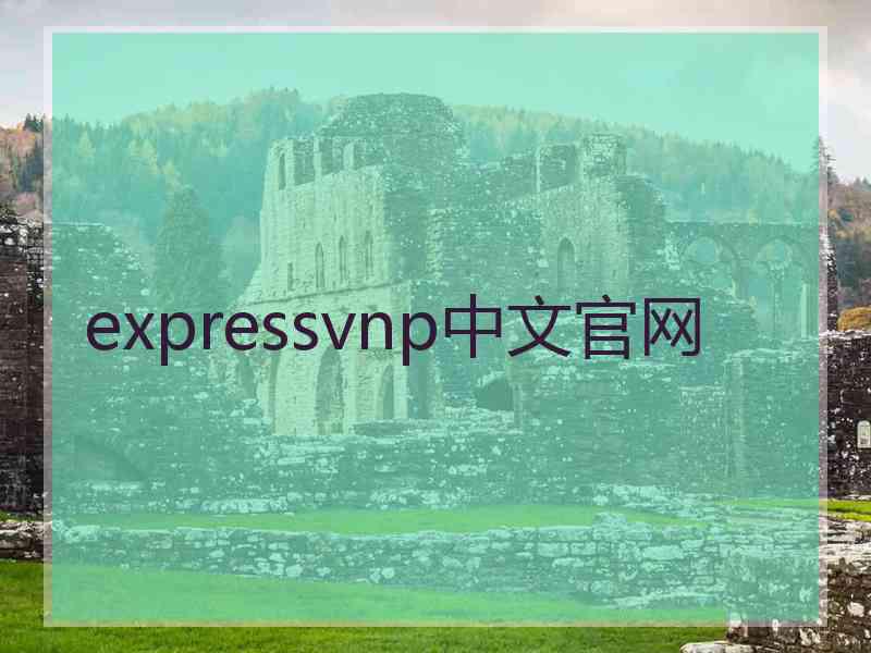 expressvnp中文官网