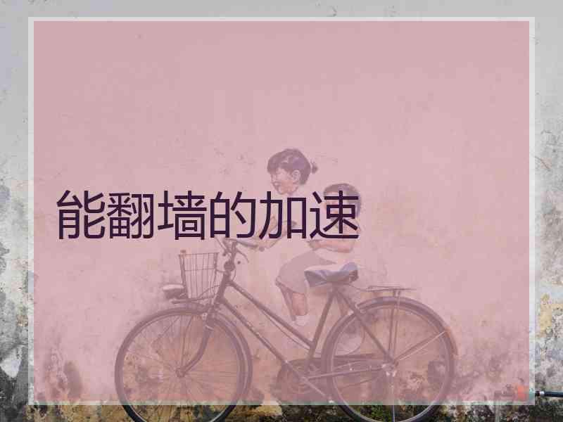 能翻墙的加速