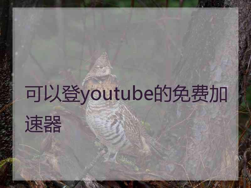 可以登youtube的免费加速器