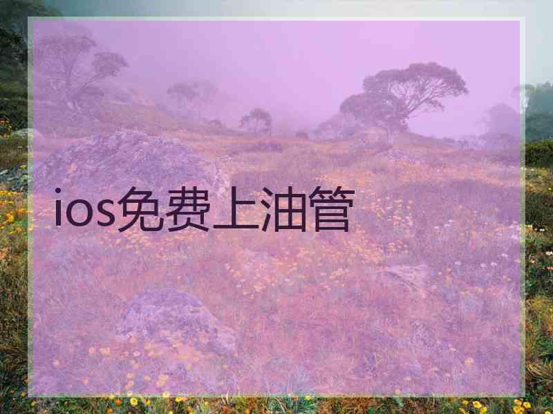 ios免费上油管