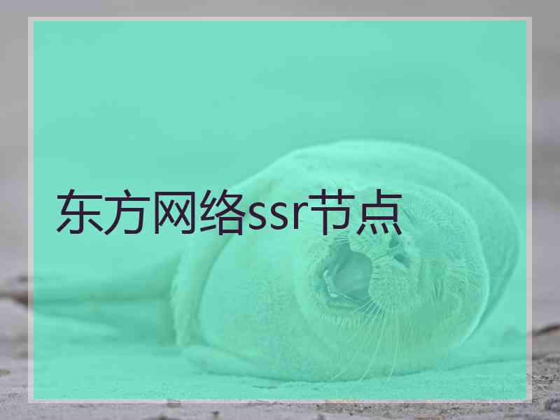 东方网络ssr节点
