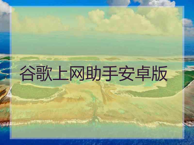 谷歌上网助手安卓版
