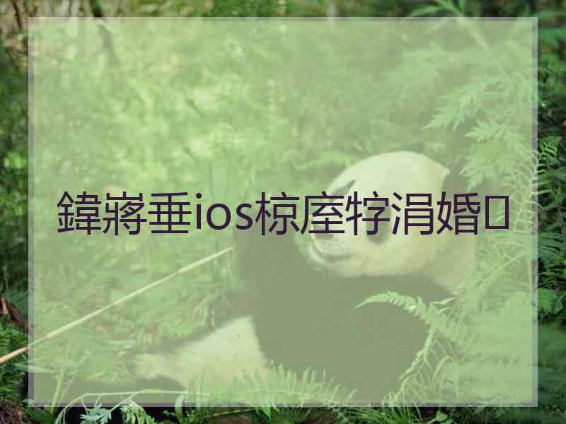 鍏嶈垂ios椋庢牸涓婚