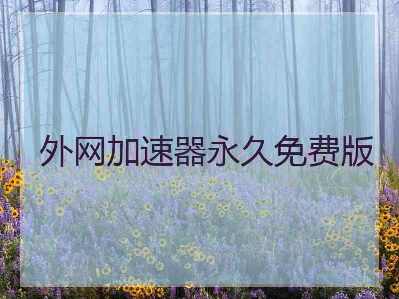 外网加速器永久免费版