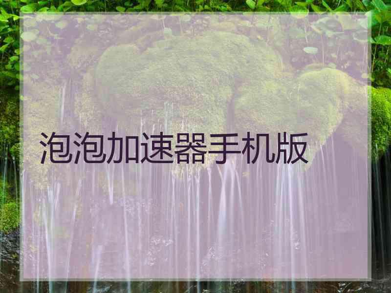 泡泡加速器手机版