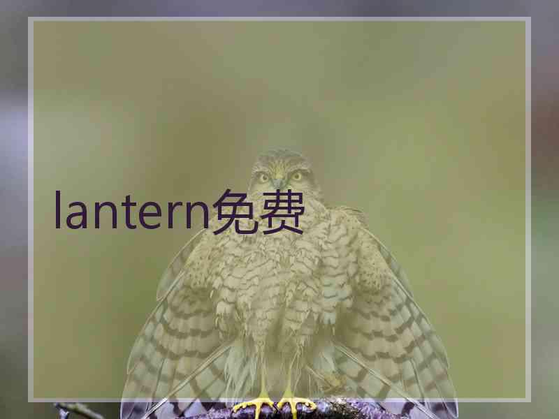lantern免费