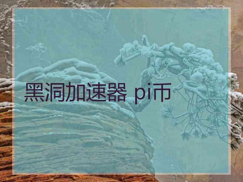 黑洞加速器 pi币