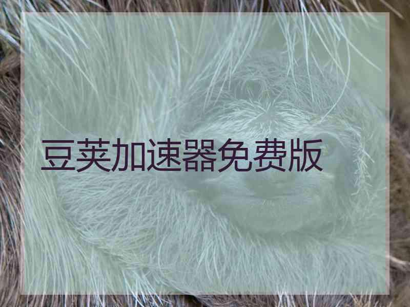 豆荚加速器免费版