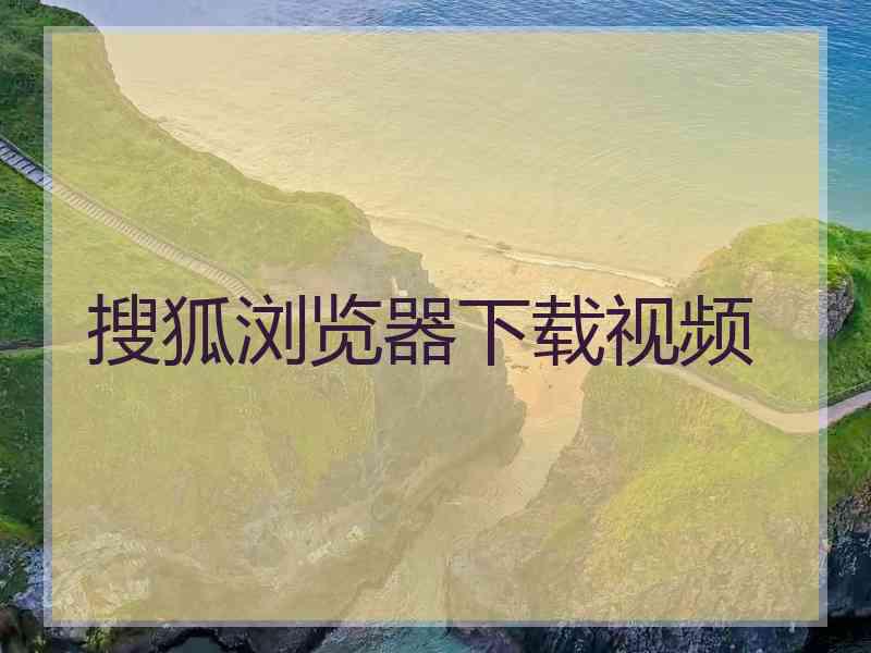 搜狐浏览器下载视频