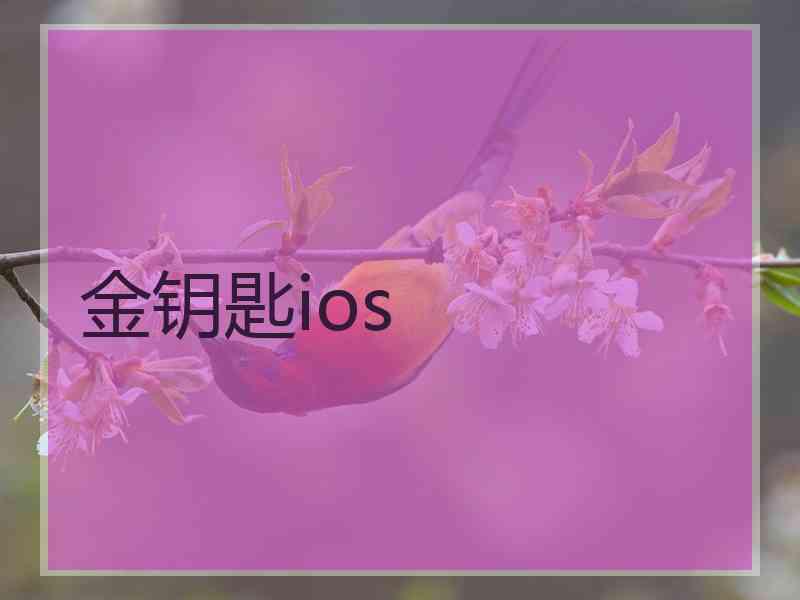 金钥匙ios