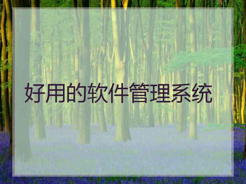 好用的软件管理系统