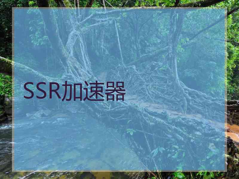 SSR加速器