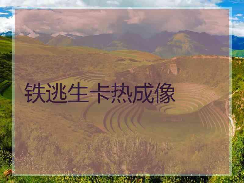铁逃生卡热成像