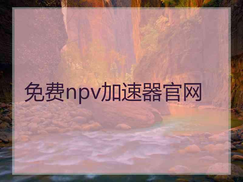 免费npv加速器官网