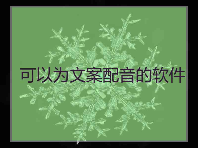可以为文案配音的软件