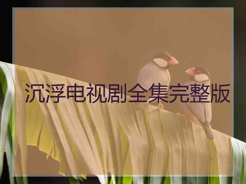 沉浮电视剧全集完整版