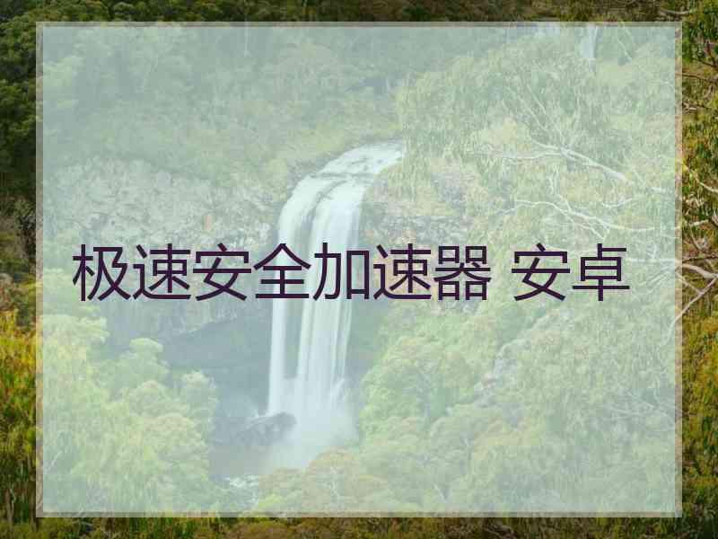 极速安全加速器 安卓