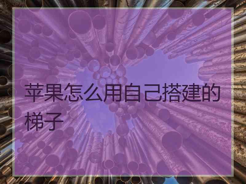 苹果怎么用自己搭建的梯子
