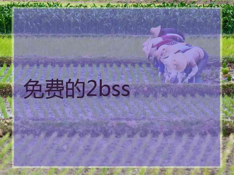 免费的2bss