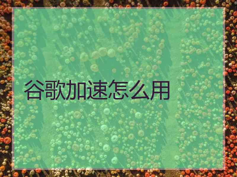 谷歌加速怎么用