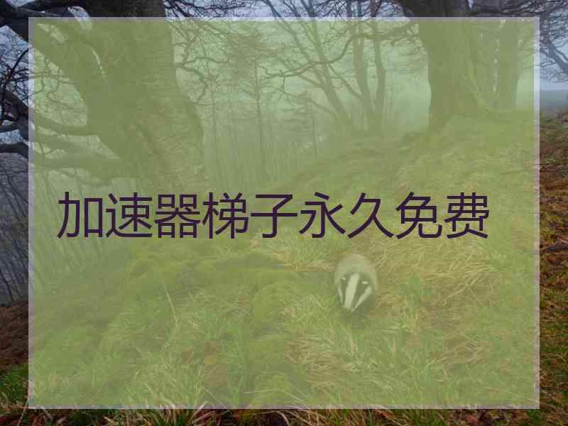 加速器梯子永久免费