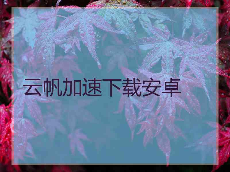 云帆加速下载安卓
