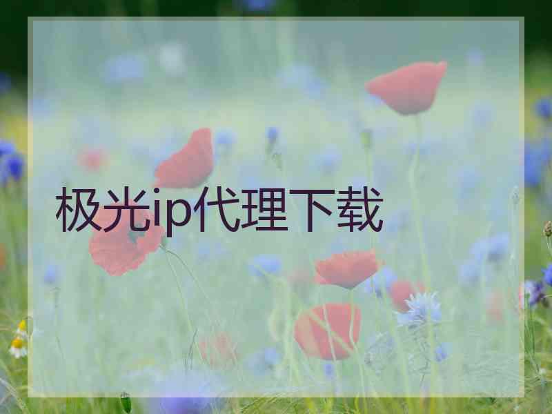 极光ip代理下载