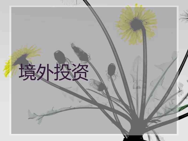 境外投资