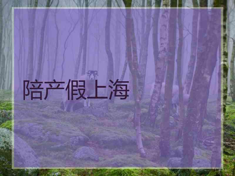 陪产假上海