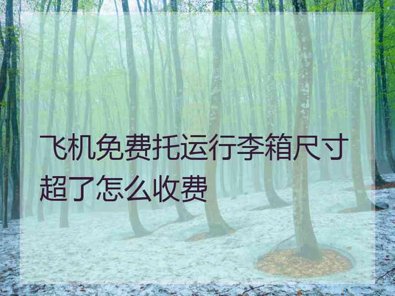 飞机免费托运行李箱尺寸超了怎么收费