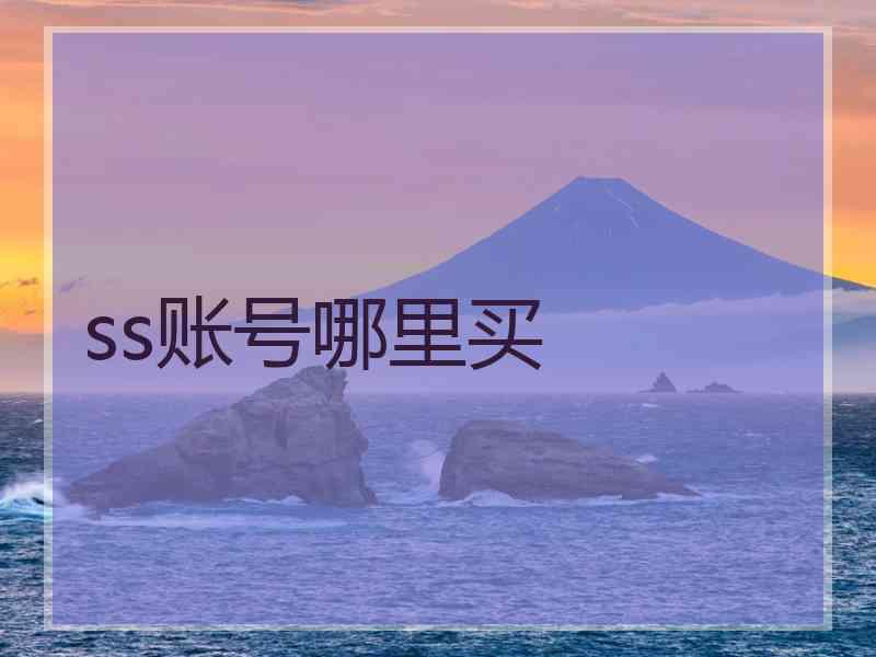 ss账号哪里买