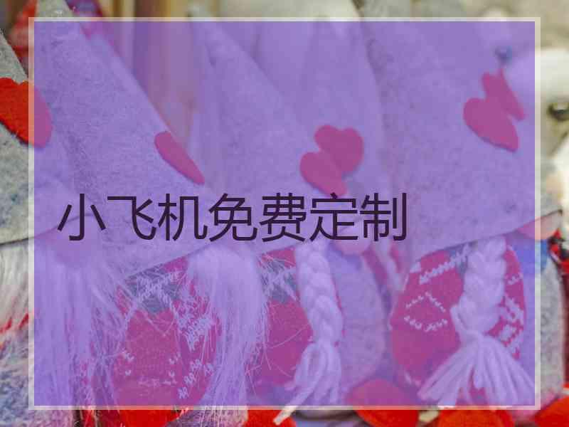 小飞机免费定制