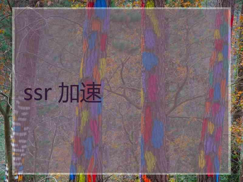 ssr 加速