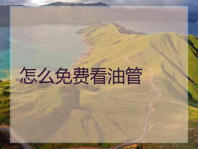 怎么免费看油管