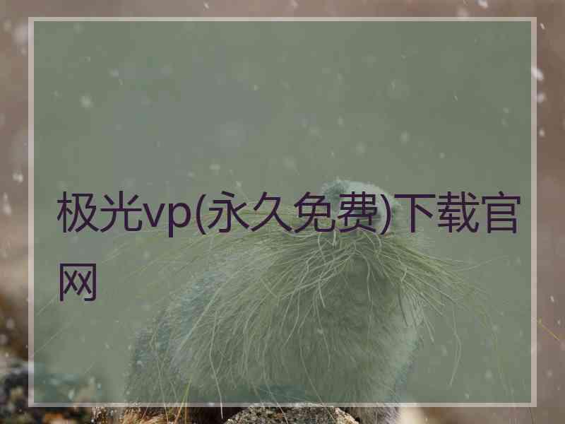 极光vp(永久免费)下载官网