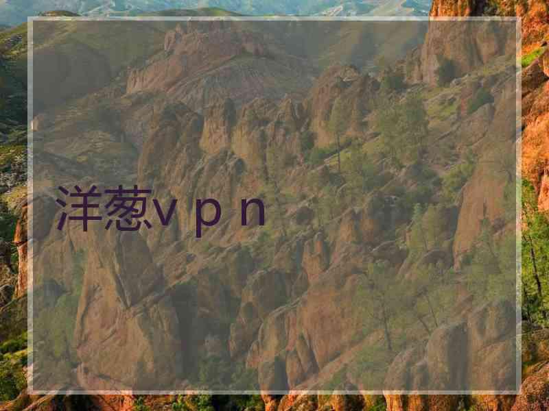 洋葱v p n