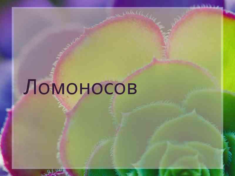 Ломоносов