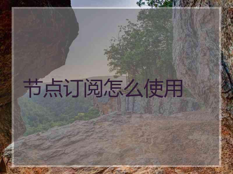 节点订阅怎么使用