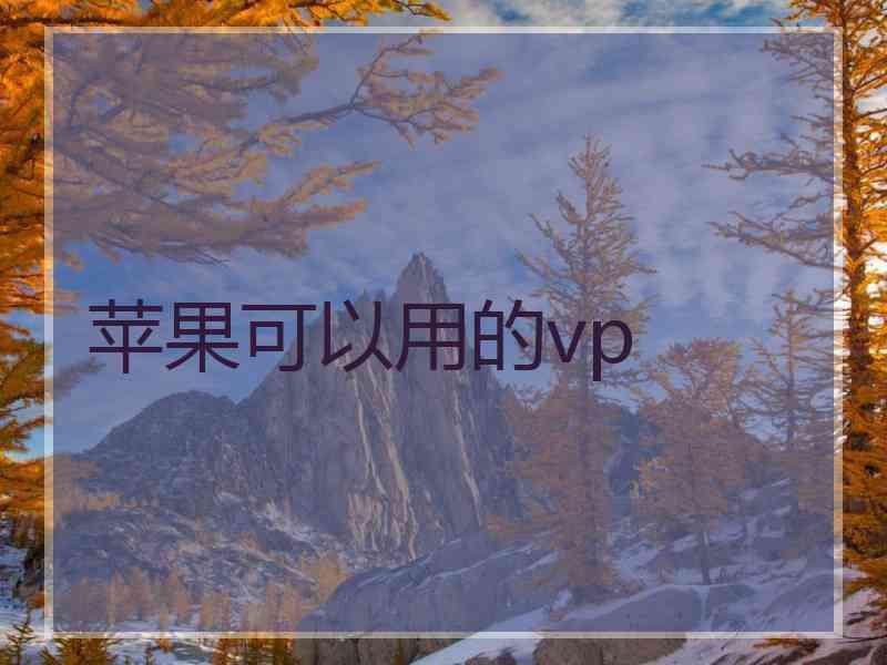 苹果可以用的vp