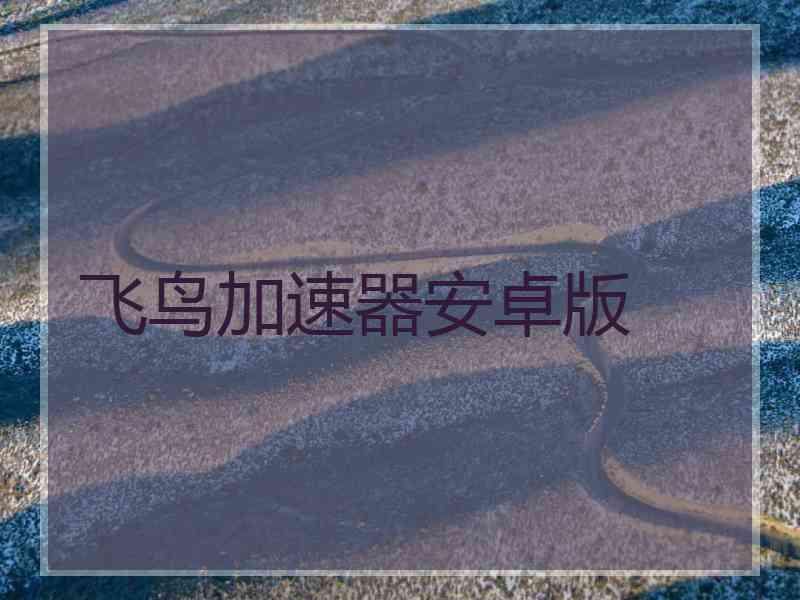 飞鸟加速器安卓版
