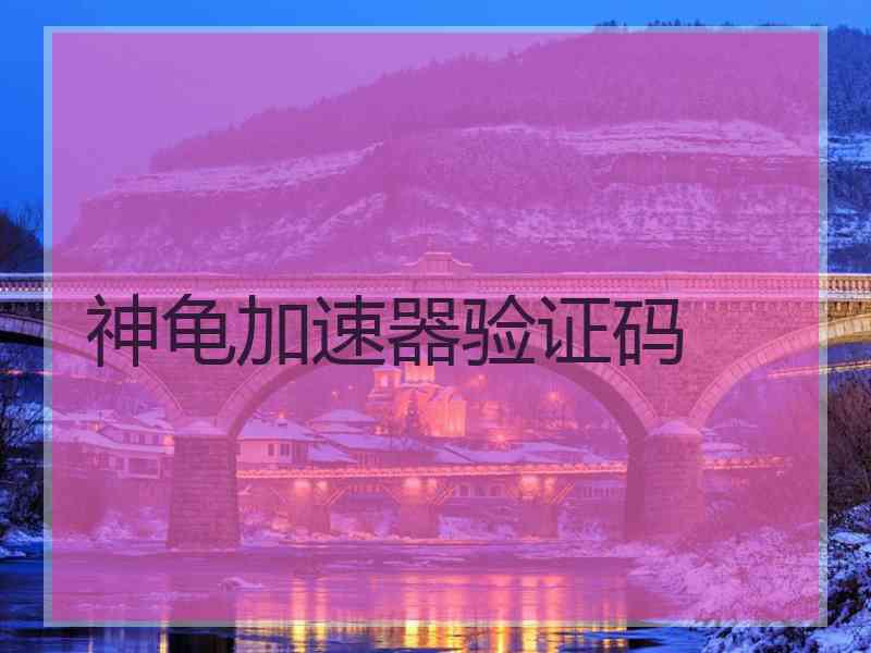 神龟加速器验证码