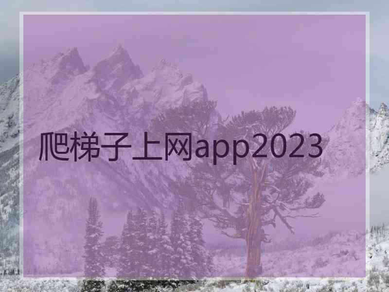 爬梯子上网app2023