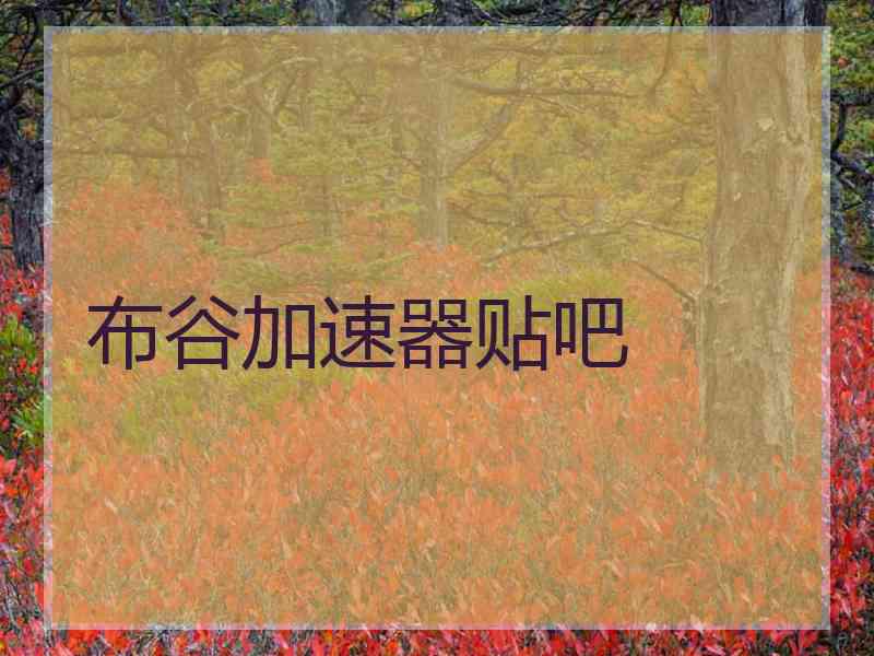 布谷加速器贴吧