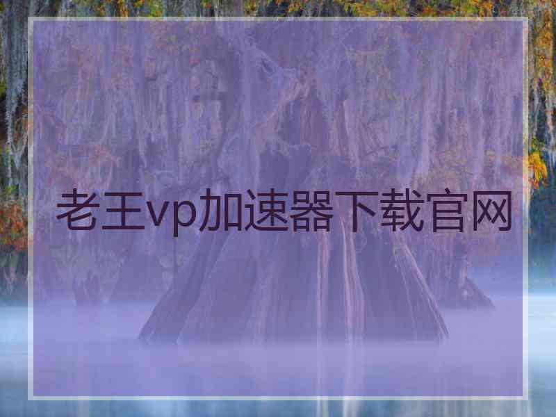 老王vp加速器下载官网