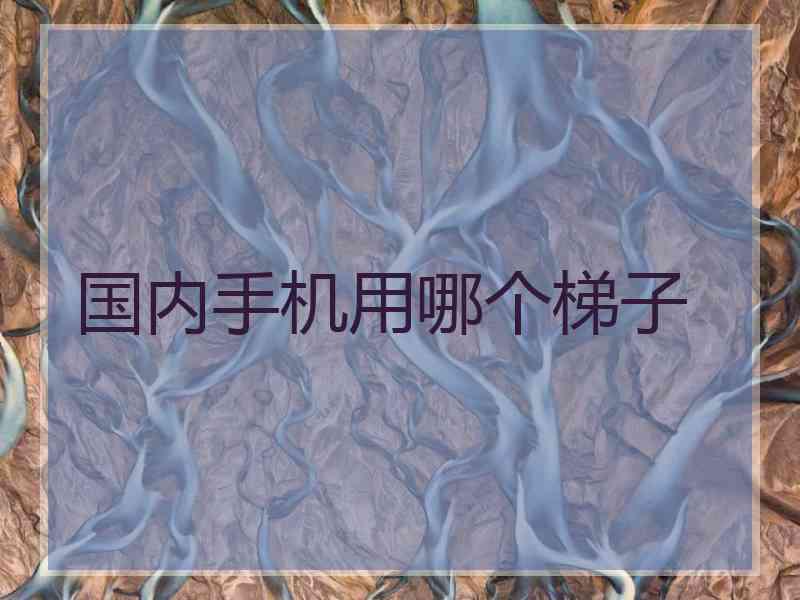 国内手机用哪个梯子