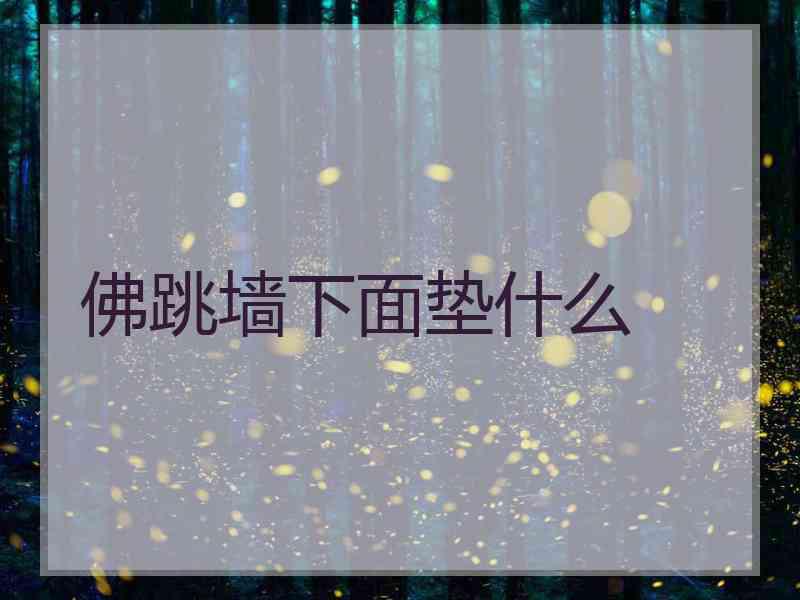 佛跳墙下面垫什么