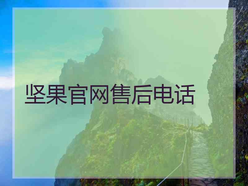 坚果官网售后电话
